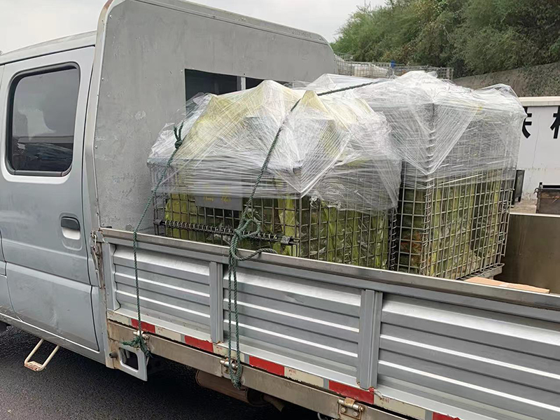 曲轴旋压皮带轮490和495发货